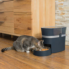 Load image into Gallery viewer, PetSafe Smart Feed Automatic Dog and Cat Feeder 6L