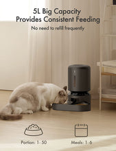 Load image into Gallery viewer, PETLIBRO Automatic Cat Feeder for Two Cats, 5L Dry Food Dispenser 10s Meal
