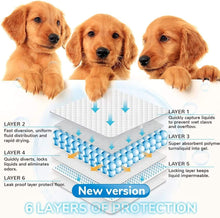 Load image into Gallery viewer, DOG AND CAT'S TRAINING PADS (60 * 60cm, Blue, 40pcs)