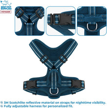 Load image into Gallery viewer, Air Frontier Mesh Dog Harness with Steel Leash No-Pull Design - Large