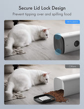 Load image into Gallery viewer, Petlibro Automatic Cat Feeder Programmable Portion Control 1-4 Meals per Day 4L/6L