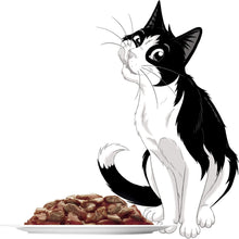 Load image into Gallery viewer, Felix Sensations Sauces - Meat Selection 60*85gm
