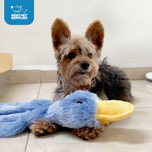 Load image into Gallery viewer, Best Pet Supplies Crinkle Dog Toy for Small, Medium, and Large Breeds, Cute No Stuffing Duck