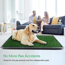 Load image into Gallery viewer, Extra Large Dog Grass Pad with Tray (35’’X45’’), Artificial Grass Mats Washable Pee Pad and Professionally Pet Toilet Potty Tray