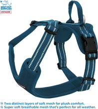 Load image into Gallery viewer, Air Frontier Mesh Dog Harness with Steel Leash No-Pull Design - Large