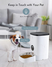 Load image into Gallery viewer, Petlibro Automatic Cat Feeder Programmable Portion Control 1-4 Meals per Day 4L/6L