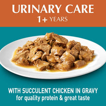Load image into Gallery viewer, Purina ONE Adult Urinary Care with Chicken Wet Cat Food, 12 Pouch 0.92KG
