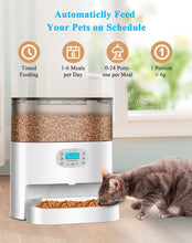 Load image into Gallery viewer, Automatic Cat Feeder, 6L Timed Cat Feeder with Desiccant Bag for Pet Dry Food, Dual Power,10s Voice Recorder, 0-24 portions