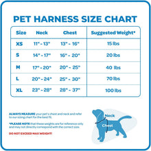 Load image into Gallery viewer, Air Frontier Mesh Dog Harness with Steel Leash No-Pull Design - Large