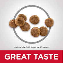 Load image into Gallery viewer, Hill’s science diet puppy chicken and barley recipe dry dog food 12kg bag