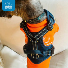 Load image into Gallery viewer, Air Frontier Mesh Dog Harness with Steel Leash No-Pull Design - Large