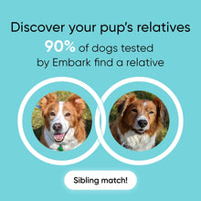 Load image into Gallery viewer, Embark Purebred Dog DNA Test Kit | Breed & Genetic Ancestry Discovery | at-Home Cheek Swab -Purebred DNA Test