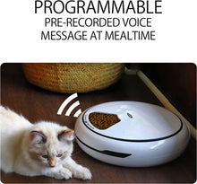 Load image into Gallery viewer, Lentek 5 Meal Automatic Cat Feeder, Dish with Voice Message, Wet or Dry Pet Food Dispenser Automatic Pet Feeder with Recorder, Speaker and Digital Timer for Dogs, Cats, Rabbits, & Other Pets (White)