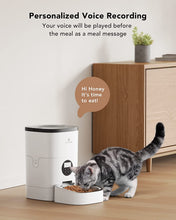 Load image into Gallery viewer, Automatic Cat Feeders, Cat Food Dispenser with Customize Feeding Schedule, Automatic Pet Feeder for Cat Dog 1-4 Meals Dry Food 4L
