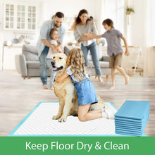 Load image into Gallery viewer, DOG AND CAT'S TRAINING PADS (60 * 60cm, Blue, 40pcs)