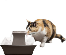 Load image into Gallery viewer, PetSafe Drinkwell Pagoda Cat and Dog Drinking Fountain, 70 oz Capacity Automatic Water Dispenser for Pets, Filters Included