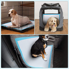 Load image into Gallery viewer, DOG AND CAT'S TRAINING PADS (60 * 60cm, Blue, 40pcs)