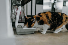 Load image into Gallery viewer, Cat Mate C200 2 Meal Automatic Pet Feeder For Cats And Small Dogs with Ice Pack