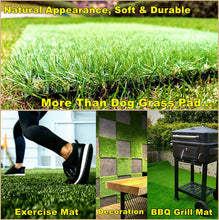 Load image into Gallery viewer, Dog's Artificial Grass 2 Pack Replacement Dog Grass Pads, 33inch X Outdoor dog pee