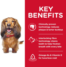 Load image into Gallery viewer, Hill's Science Diet Oral Care Adult, Chicken Rice & Barley Recipe, Dry Dog Food 24KG