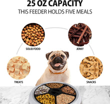 Load image into Gallery viewer, Lentek 5 Meal Automatic Cat Feeder, Dish with Voice Message, Wet or Dry Pet Food Dispenser Automatic Pet Feeder with Recorder, Speaker and Digital Timer for Dogs, Cats, Rabbits, & Other Pets (White)