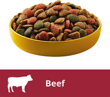 Load image into Gallery viewer, PEDIGREE Small Breed Beef & Veggies Dry Dog Food 2.5kg Bag * 4 Pack