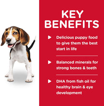 Load image into Gallery viewer, Hill's Science Diet Puppy Wet Dog Food, Chicken & Barley Entrée, 370g, 12 Pack