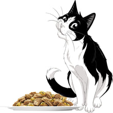 Load image into Gallery viewer, Felix Sensations Jellies Mixed Menu 60*85gm