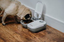 Load image into Gallery viewer, Cat Mate C200 2 Meal Automatic Pet Feeder For Cats And Small Dogs with Ice Pack