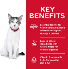 Load image into Gallery viewer, Hill's Science Diet Senior Adult 11+ Age Defying, Chicken Recipe, Dry Cat Food 3.17kg