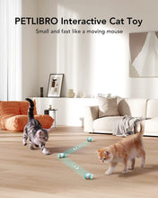 Load image into Gallery viewer, Interactive Cat Toys for Indoor Cats, Automatic Cat Toy with LED Lights, Cat Mouse Toys, Kitten Toys, Pet Toys, Smart Electric Cat Toy, USB Rechargeable, Auto On/Off