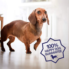 Load image into Gallery viewer, Dental Wipes for Dogs - Bad Breath, Plaque and Tooth Decay Gone - 100 Presoaked Pads