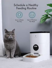 Load image into Gallery viewer, Petlibro Automatic Cat Feeder Programmable Portion Control 1-4 Meals per Day 4L/6L