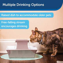 Load image into Gallery viewer, PetSafe Drinkwell Pagoda Cat and Dog Drinking Fountain, 70 oz Capacity Automatic Water Dispenser for Pets, Filters Included