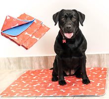 Load image into Gallery viewer, PEE PADS FOR ANY SIZE DOGS 2PK -REUSABLE