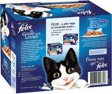 Load image into Gallery viewer, Felix Great Looks - Ocean Menus, Adult And Senior, 48*85gm