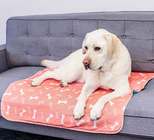 Load image into Gallery viewer, PEE PADS FOR ANY SIZE DOGS 2PK -REUSABLE