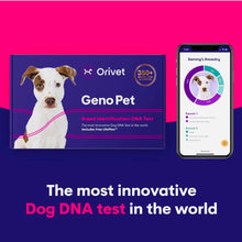Load image into Gallery viewer, Genopet dog DNA test,Dog breed test kit,genetic testing,health risk & life plan
