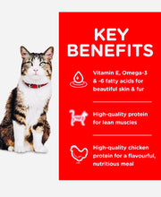 Load image into Gallery viewer, Hills science diet hairball control chicken recipe Dry cat food 4KG