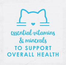 Load image into Gallery viewer, Fancy Feast Delight with Cheddar 24*85gm Tuna Wet cat food