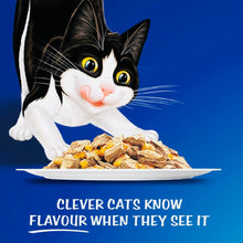 Load image into Gallery viewer, Felix doubly delicious mixed selection in Jellies 60*85gm