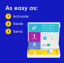 Load image into Gallery viewer, Dog DNA test kit,breed & genetic ancestry