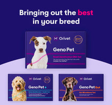 Load image into Gallery viewer, Orivet Dog dna test ,dog breed test kit ,genetic testing
