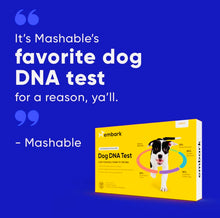Load image into Gallery viewer, Dog DNA test kit,breed & genetic ancestry