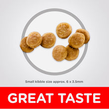 Load image into Gallery viewer, Hills science diet kitten chicken recipe dry cat food 10KG bag