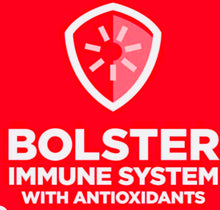 Load image into Gallery viewer, Hills science large breed lamb & rice diet dry dog food 14.97kg