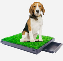 Load image into Gallery viewer, Dog portable indoor toilet training grass Mat 3 layers