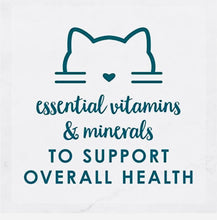 Load image into Gallery viewer, Fancy Feast Chunky Chicken Wet cat Food 24*85gm