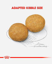 Load image into Gallery viewer, Royal Canin dry dog food medium and adult breed 15kg