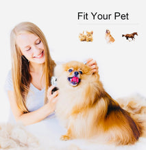 Load image into Gallery viewer, Paul’s Pet Dog Clippers, Grooming Kit